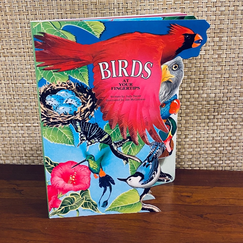 VTG Birds At Your Fingertips Board Book